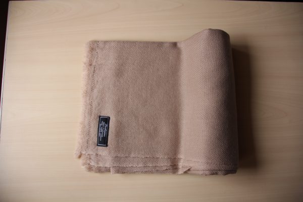 pure 100% pashmina